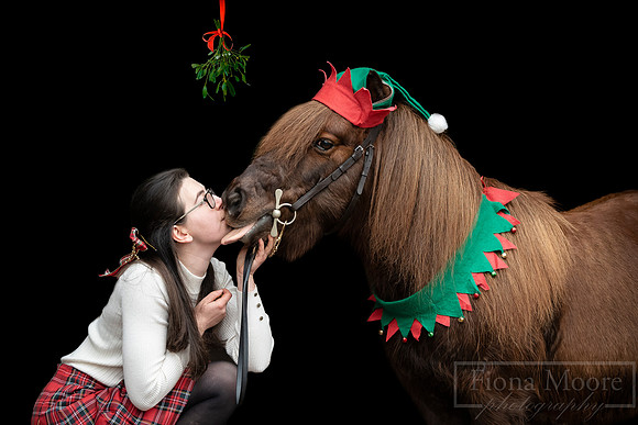 DSC_0031mistletoe
