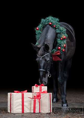 DSC_0267