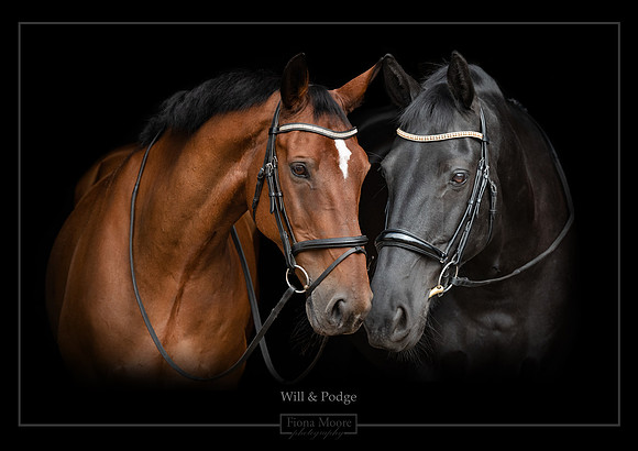 Will & Podge composite