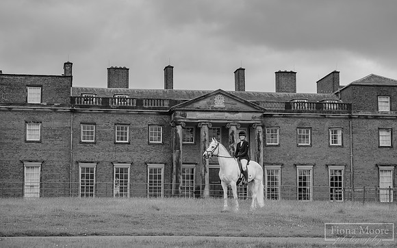 DSC_0362