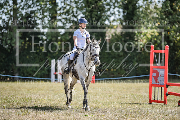 DSC_0419