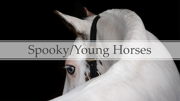 Young0spooky horses header