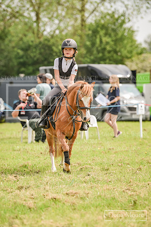 DSC_0293
