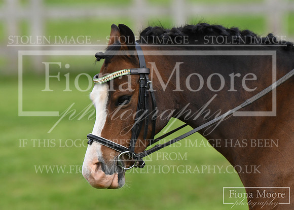 DSC_7284