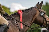 15th June Open Show