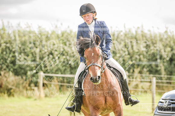 DSC_3985