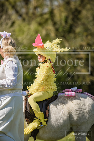 DSC_0508