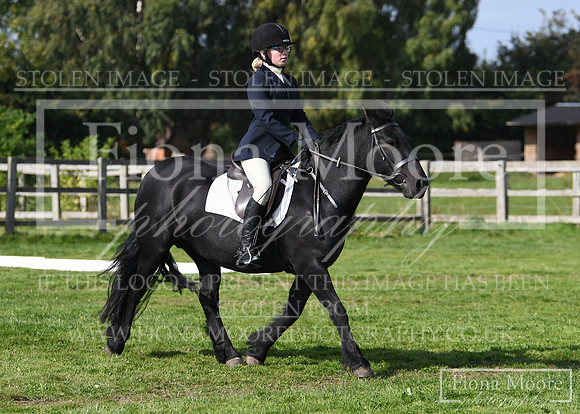 DSC_8317