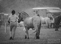 20th July Open Show