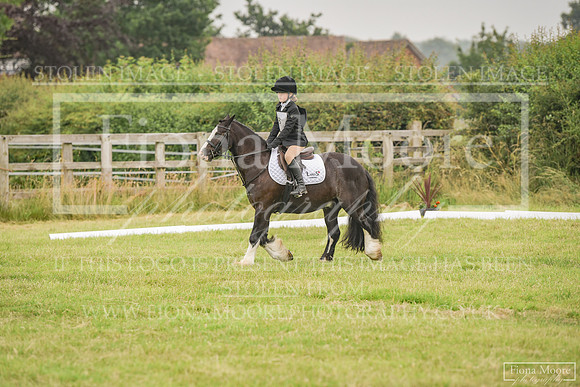 DSC_8556