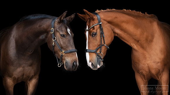 Jerry-Rocky_COMPOSITE1