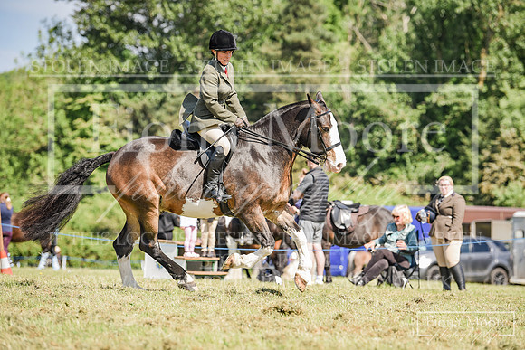 DSC_0209