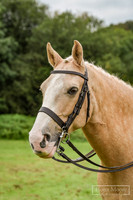 Ridden Classes