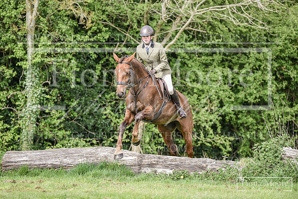 DSC_0146