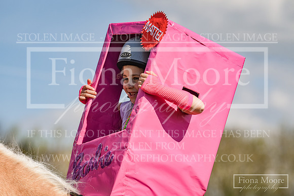 DSC_6549