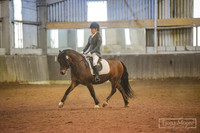 Novice 28