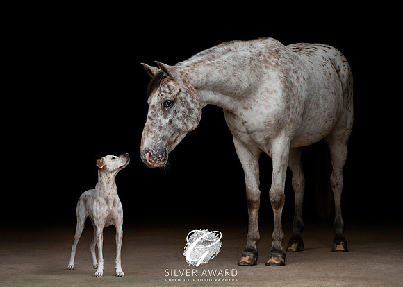 IOM JUN3_SILVER
