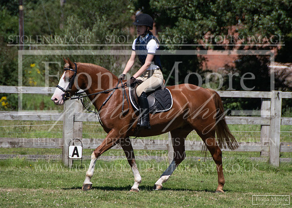 DSC_0786