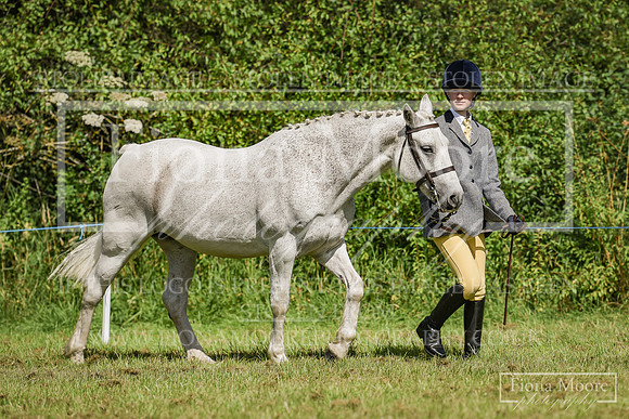 DSC_0287