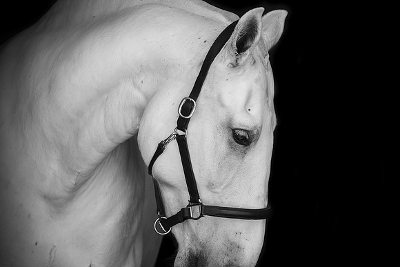 DSC_0027